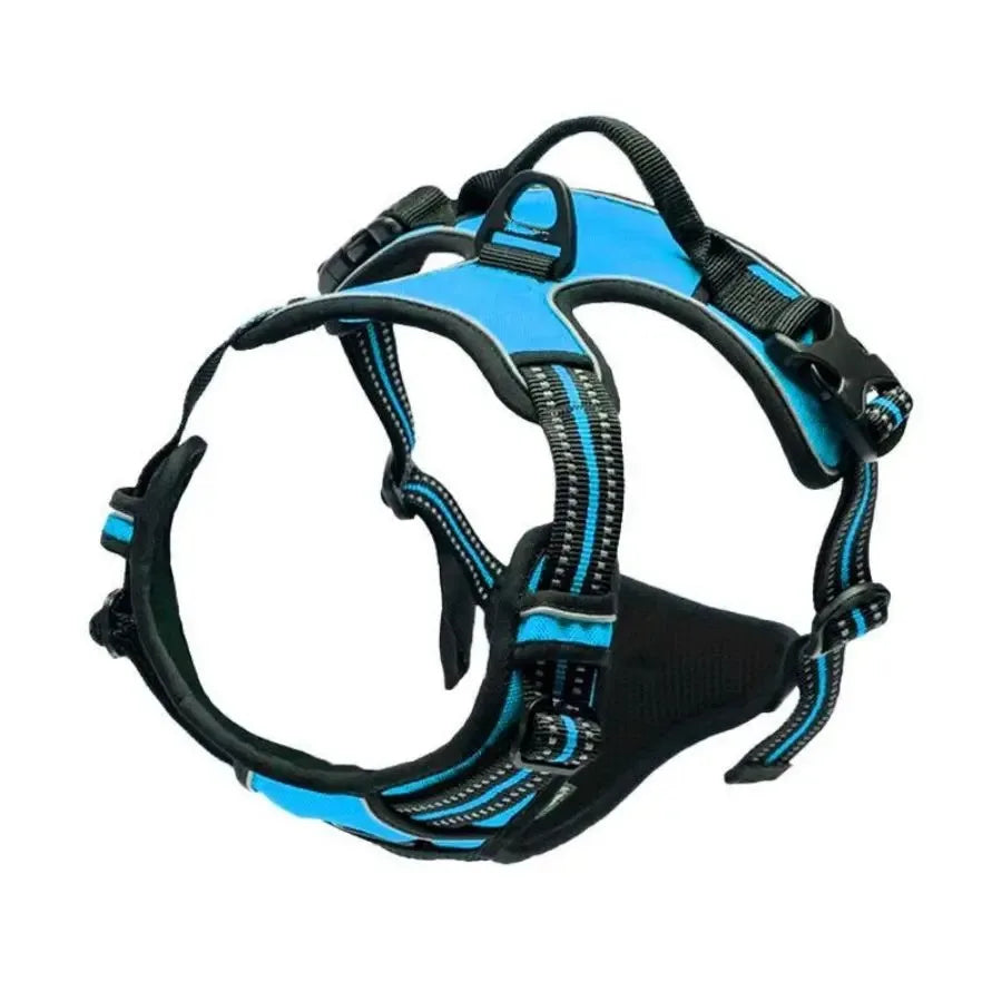 Dog Collars and harness l AXOIZ