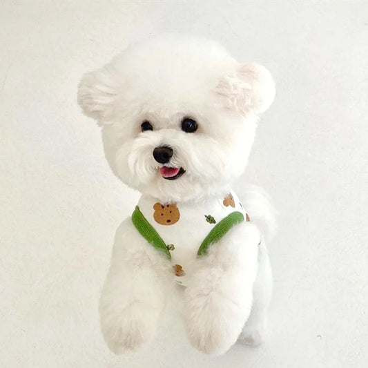 Spring/Summer Cute Bear Dog Clothes l AXOIZ