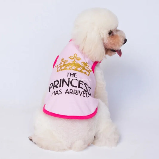 Printed Vests for Dogs Stylish | AXOIZ