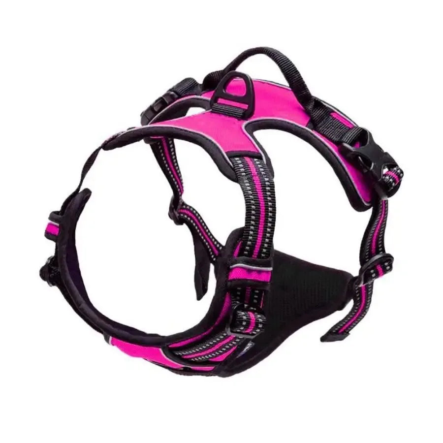 Dog Collars and harness l AXOIZ