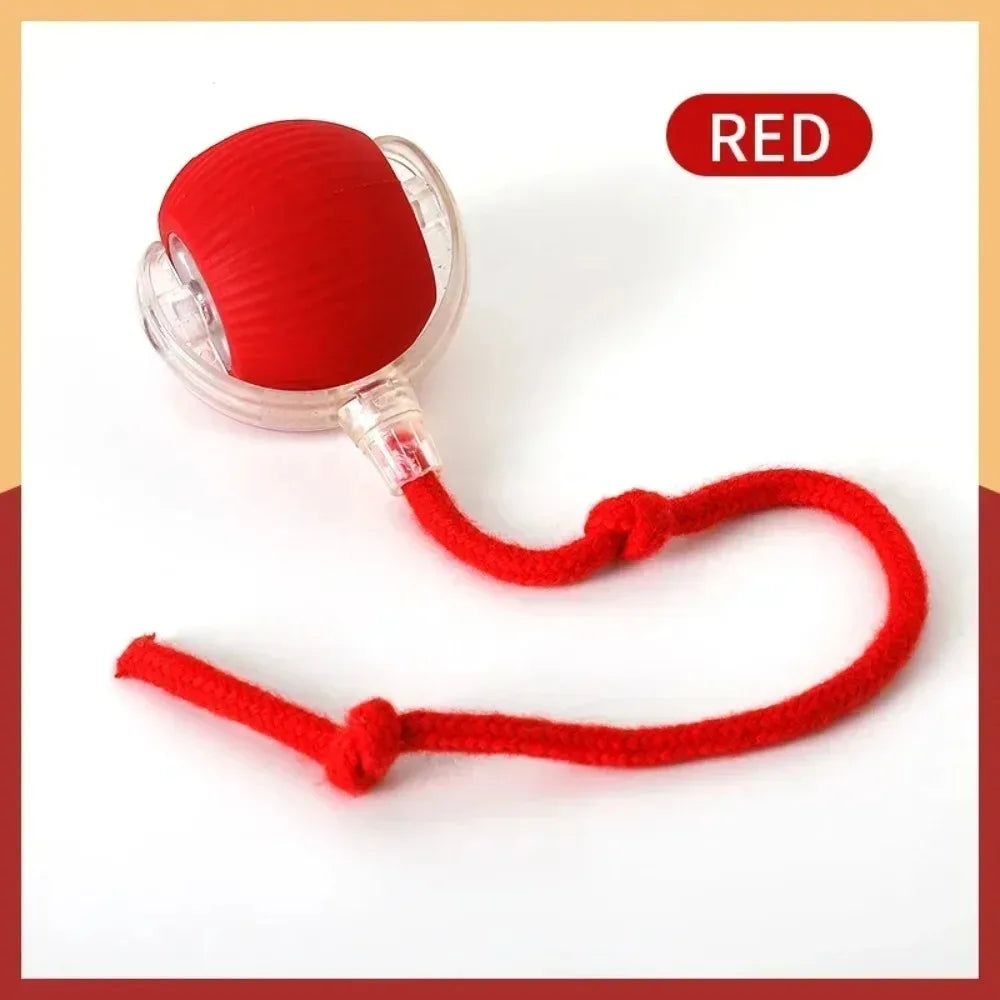 Robotic Ball for pets l AXOIZ