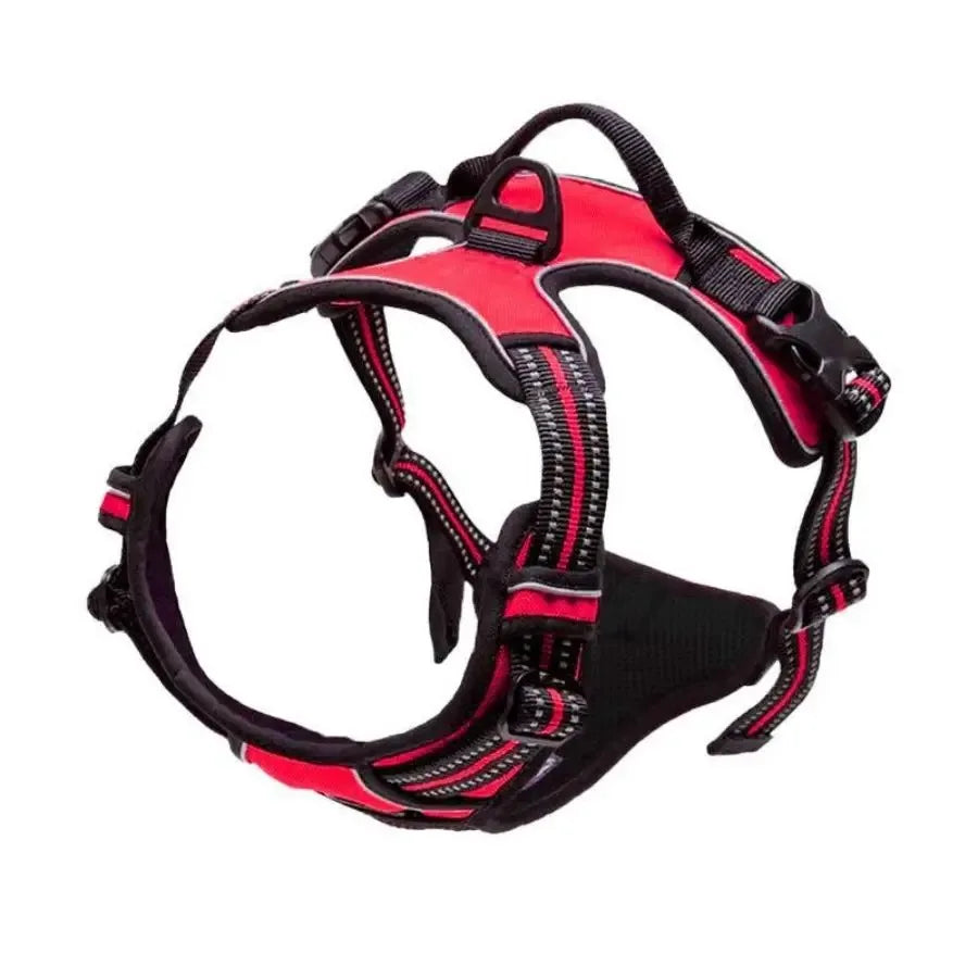Dog Collars and harness l AXOIZ