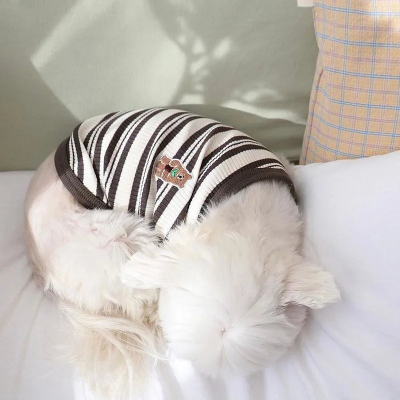 Embroidered Vest for Dogs | AXOIZ