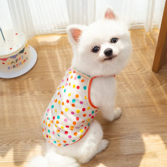 Princess Vest for Small dogs |AXOIZ