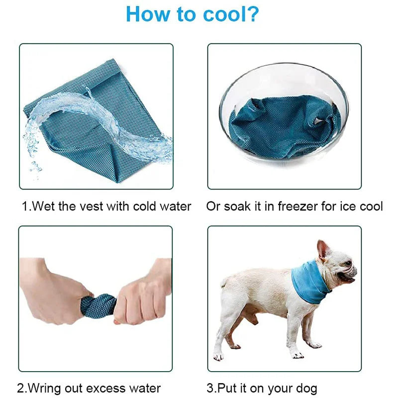 Summer Cooling Dog Collar Bandana | AXOIZ
