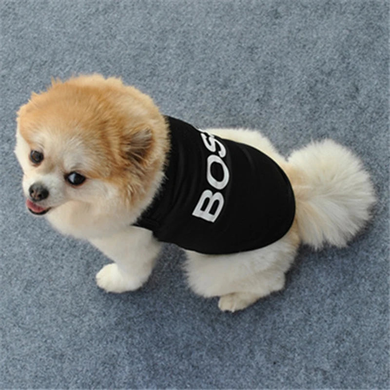 Cute Security Clothing for Dogs l AXOIZ