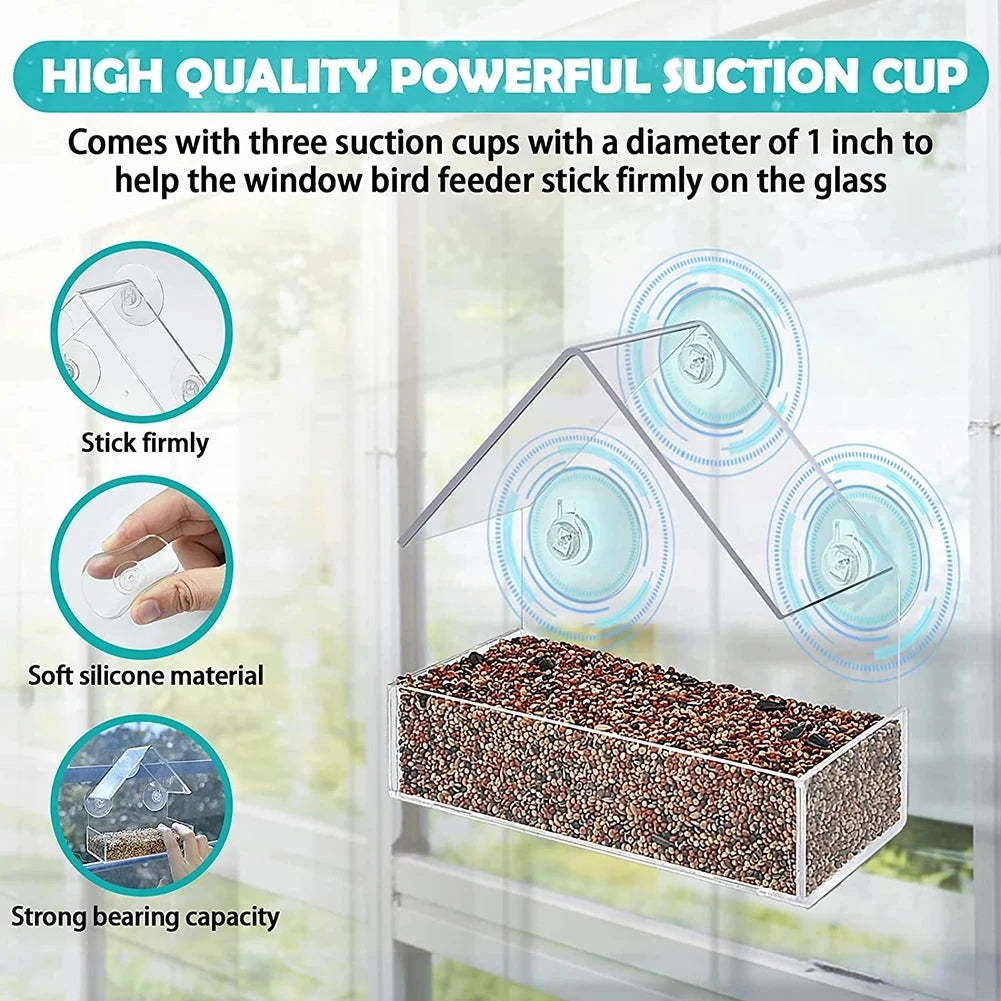Transparent Bird Feeder | AXOIZ