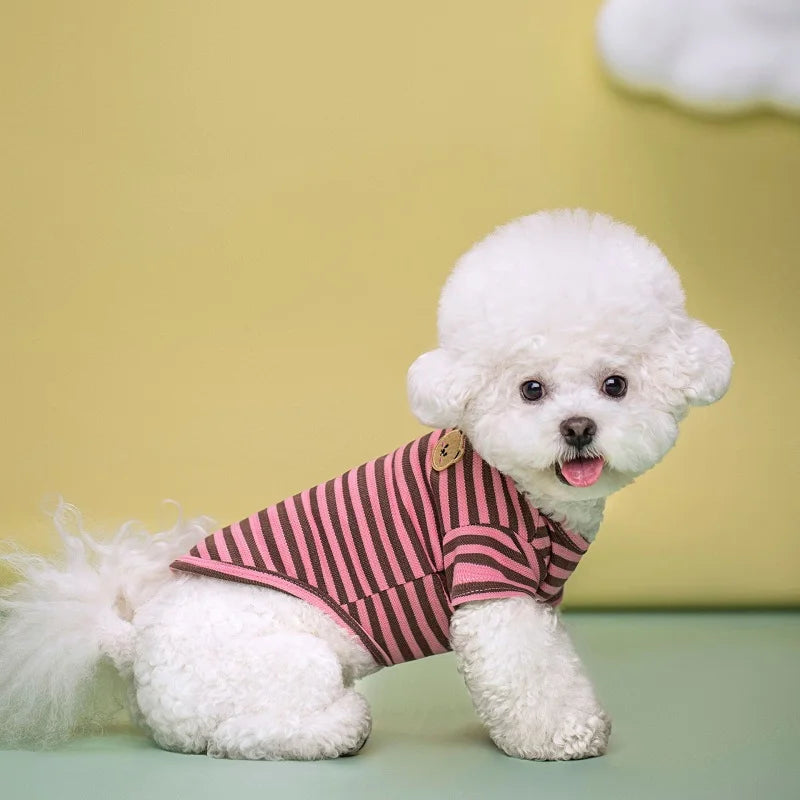Vêtements d'été et gilets pour animaux | AXOIZ