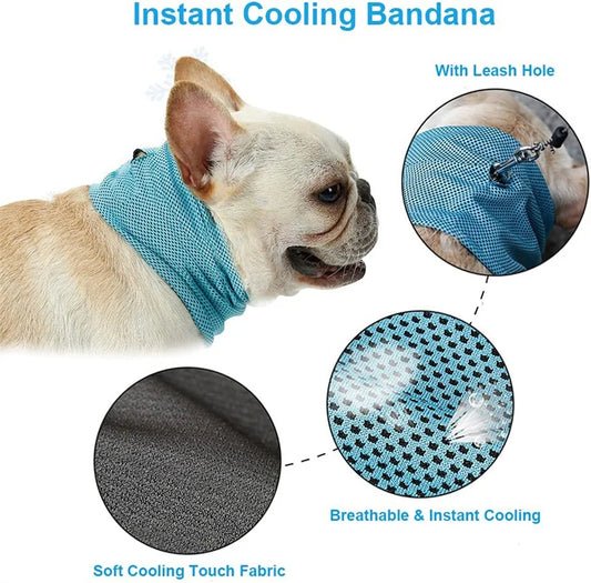 Summer Cooling Dog Collar Bandana | AXOIZ