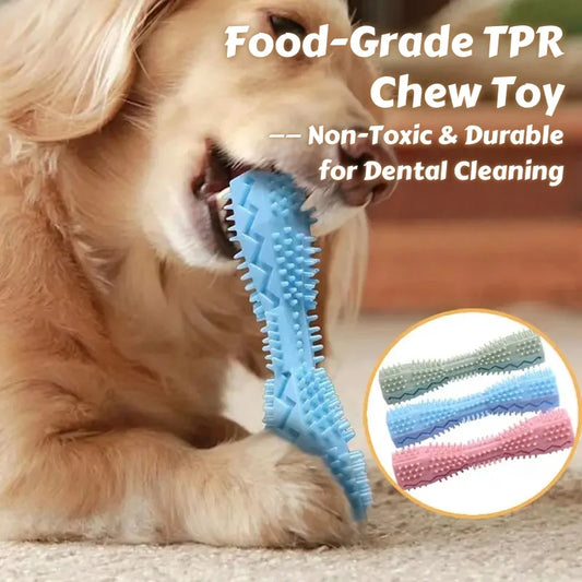 Chew Toy for Dogs l AXOIZ