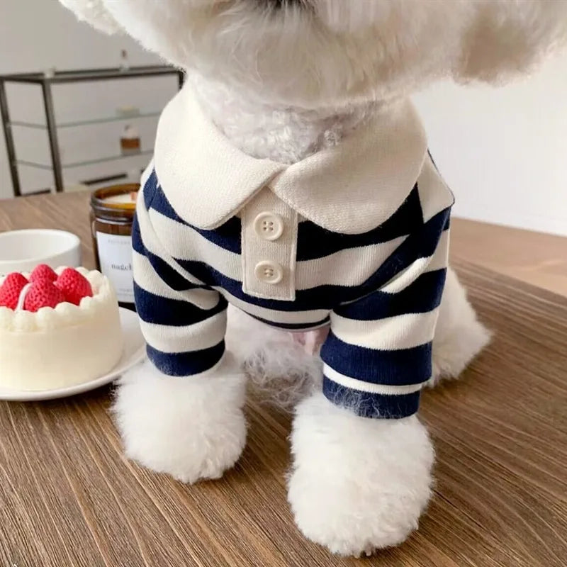 Polo Shirt for Dog's l AXOIZ