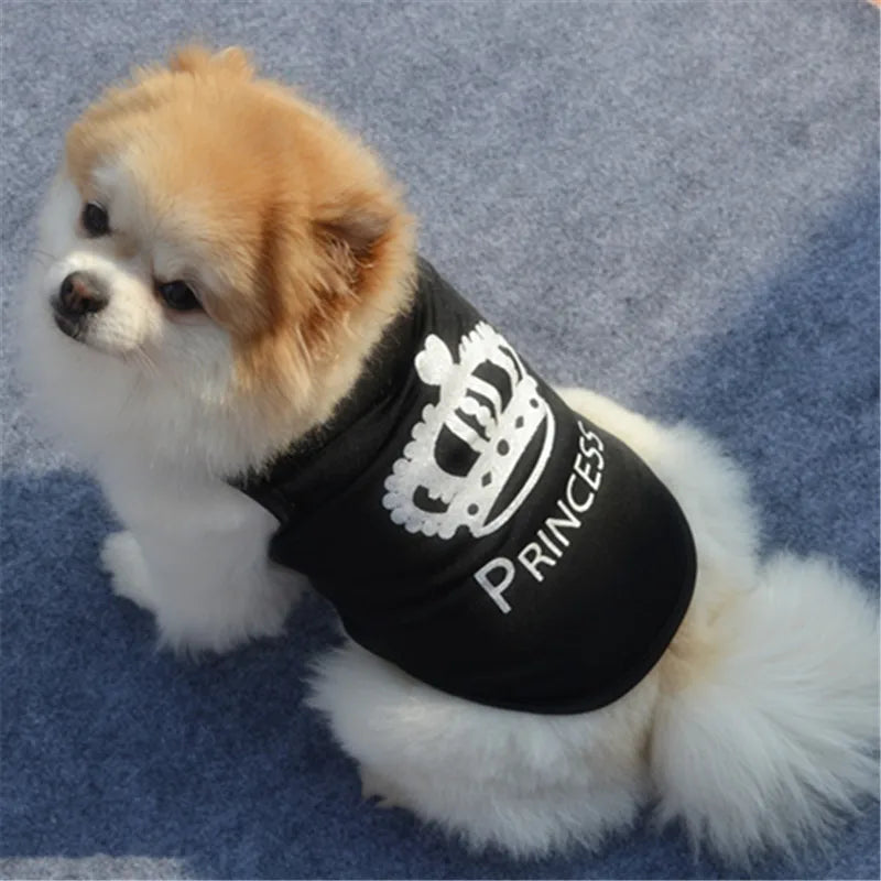 Cute Security Clothing for Dogs l AXOIZ