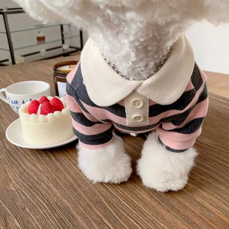 Polo Shirt for Dog's l AXOIZ