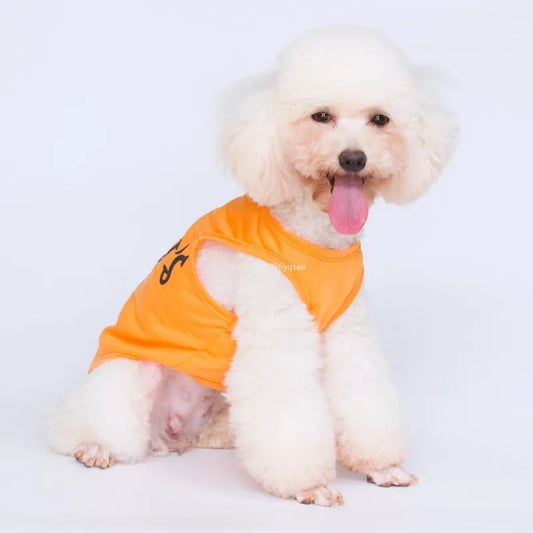 Vests for Dogs | AXOIZ