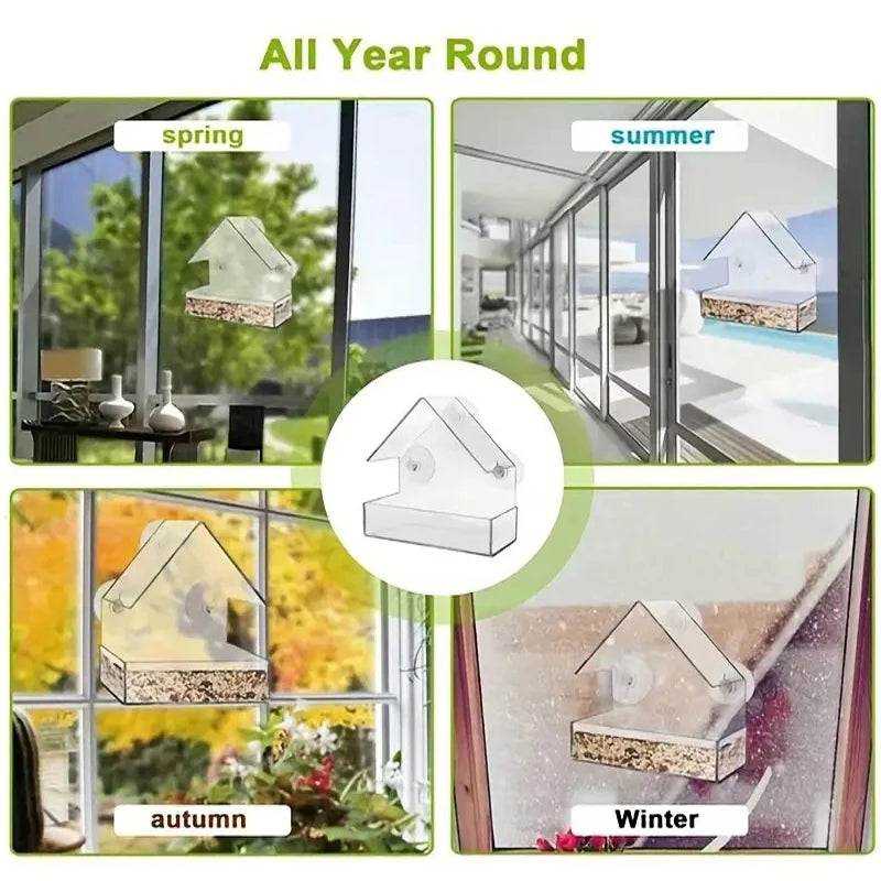 Transparent Bird Feeder | AXOIZ