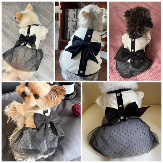 Luxury Dog Dress for Small Dogs | AXOIZ