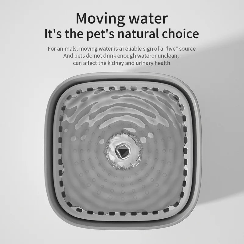 Fontaine à eau USB 3L pour animaux de compagnie l AXIZIOZ