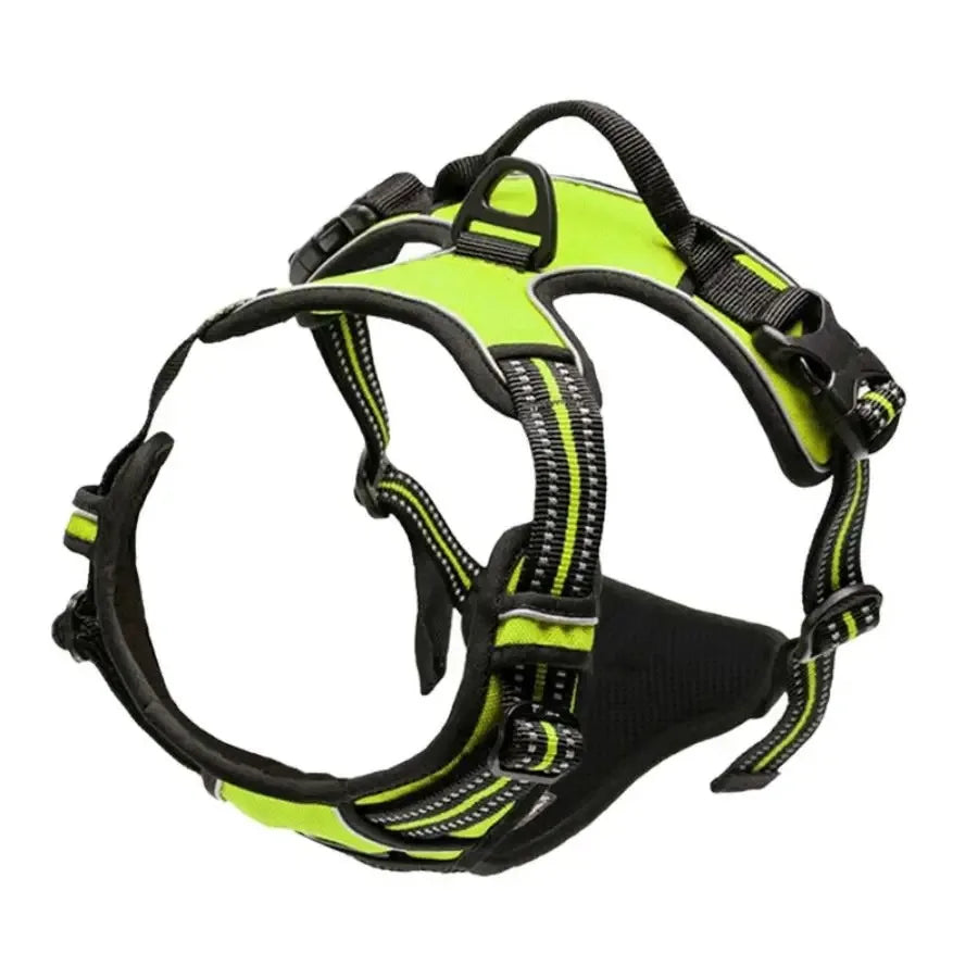 Dog Collars and harness l AXOIZ
