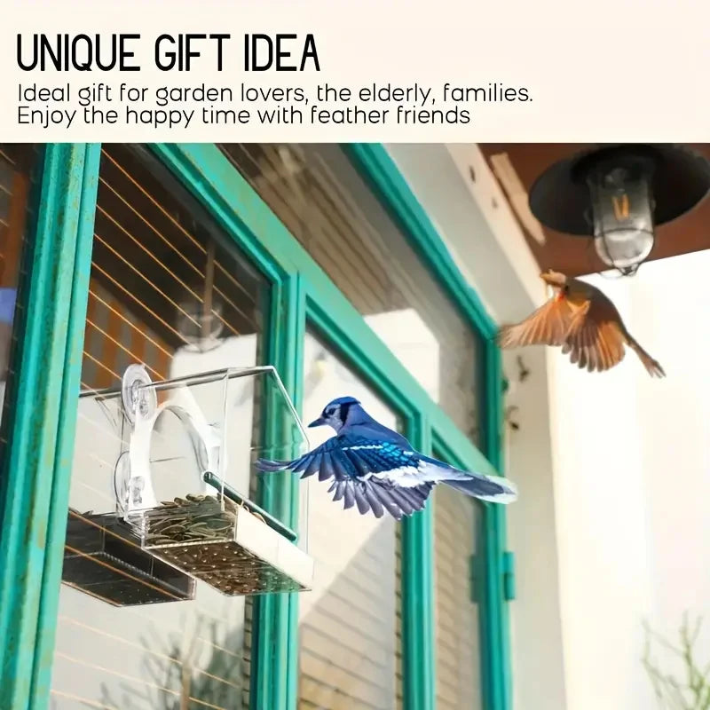 Transparent Bird Feeder | AXOIZ