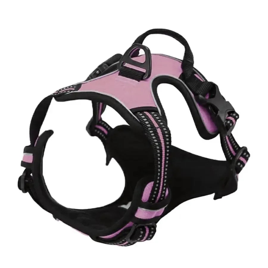 Dog Collars and harness l AXOIZ