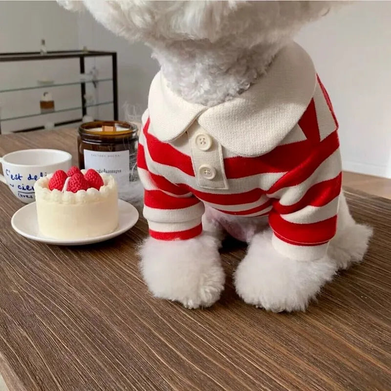 Polo Shirt for Dog's l AXOIZ