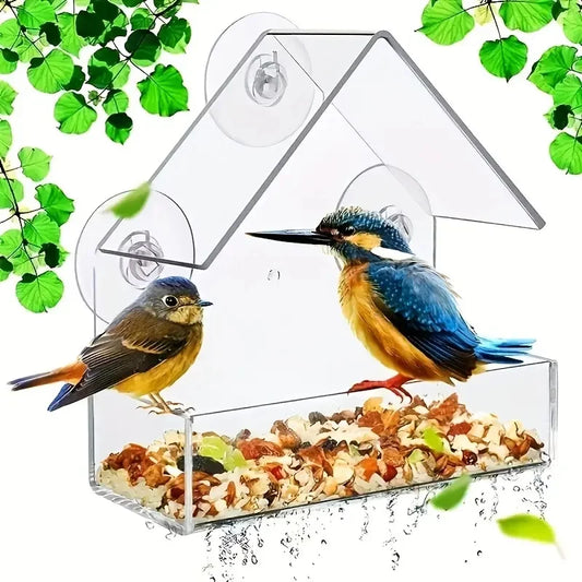 Transparent Bird Feeder | AXOIZ