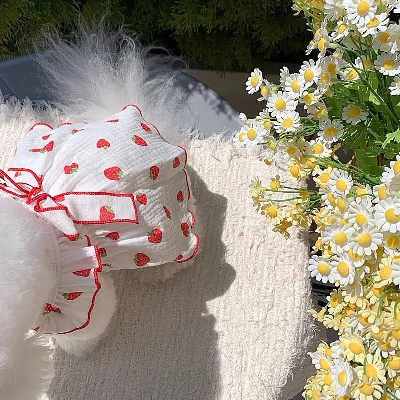 Strawberry Print Pet Dog Dress | AXOIZ