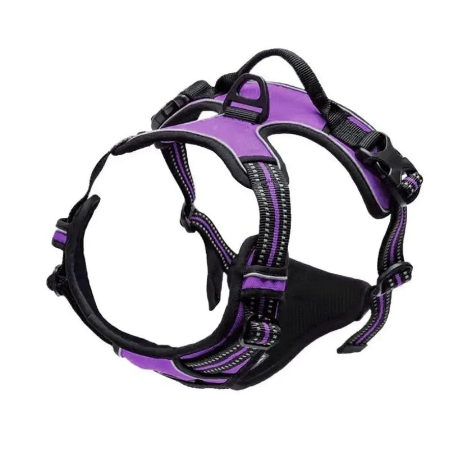 Dog Collars and harness l AXOIZ