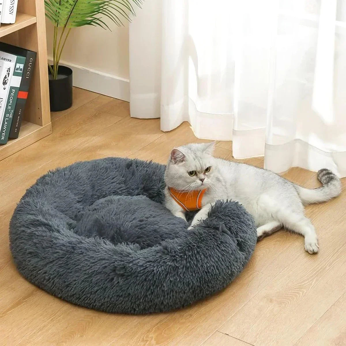 Round Pet Bed l AXOIZ
