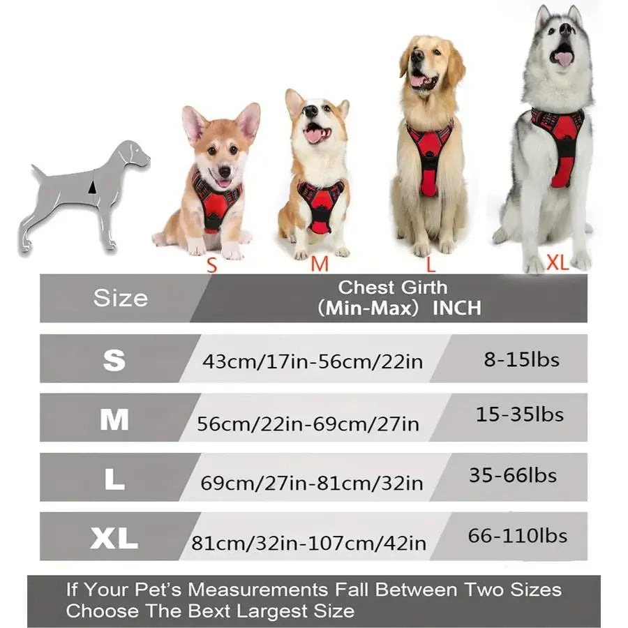 Dog Collars and harness l AXOIZ