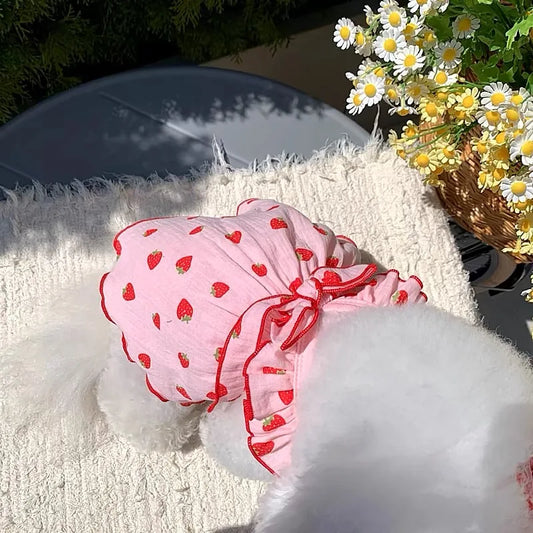 Strawberry Print Pet Dog Dress | AXOIZ