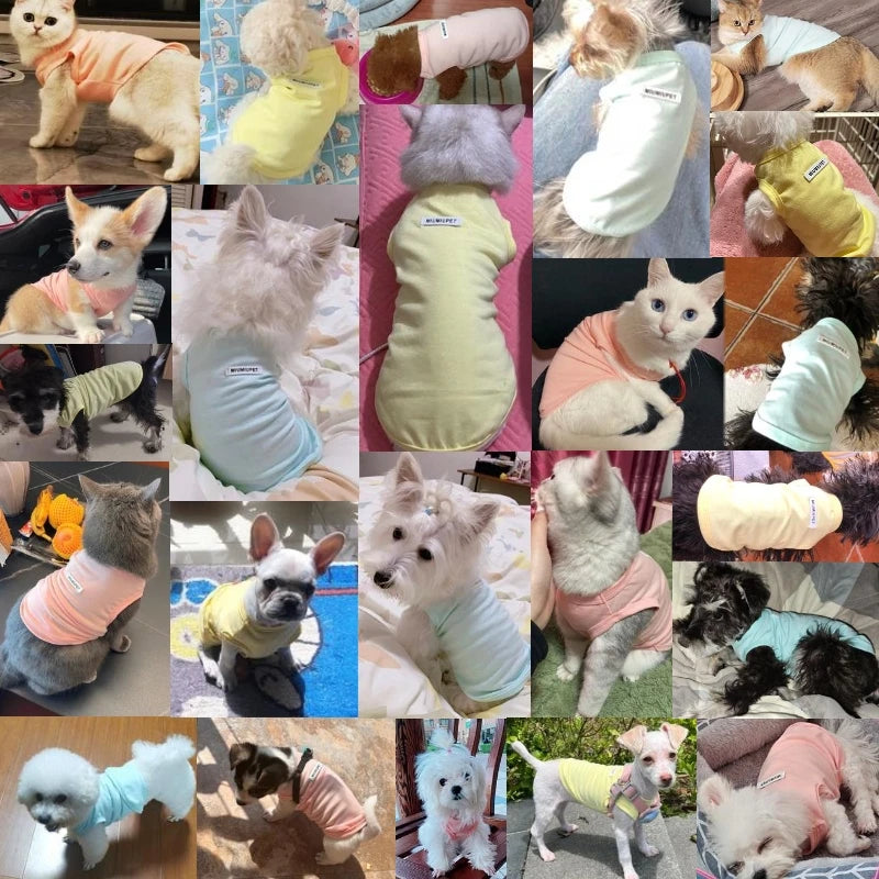 Breathable Cotton vest for Dogs | AXOIZ