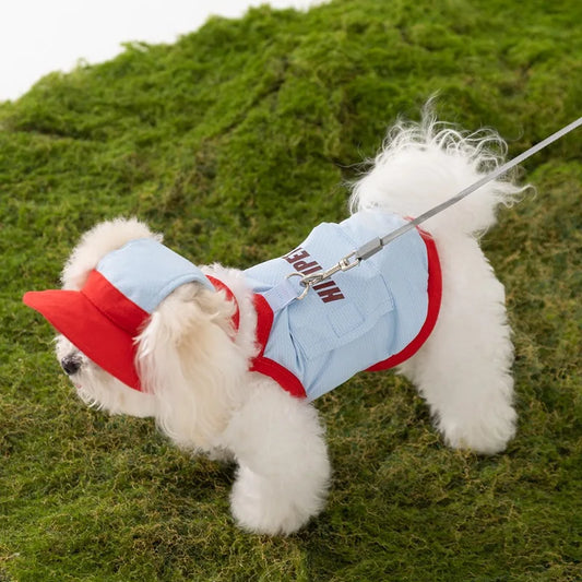 Cute Vests for Dogs | AXOIZ