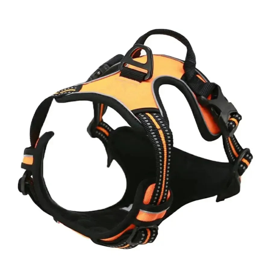 Dog Collars and harness l AXOIZ