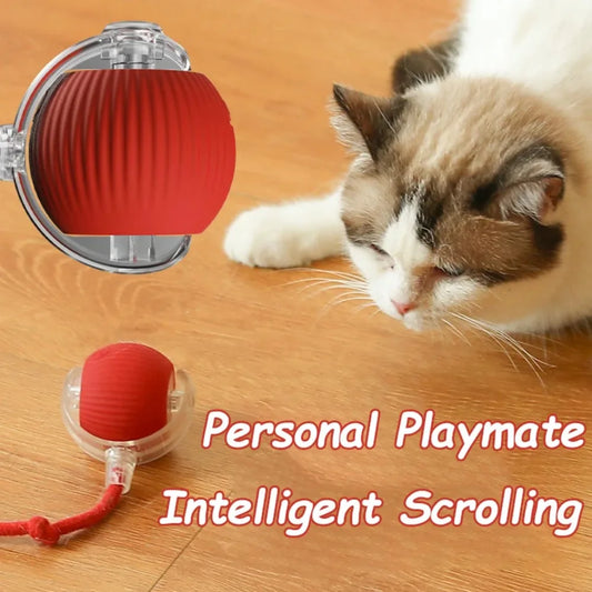 Robotic Ball for pets l AXOIZ