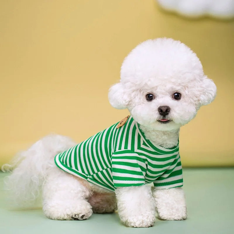 Vêtements d'été et gilets pour animaux | AXOIZ