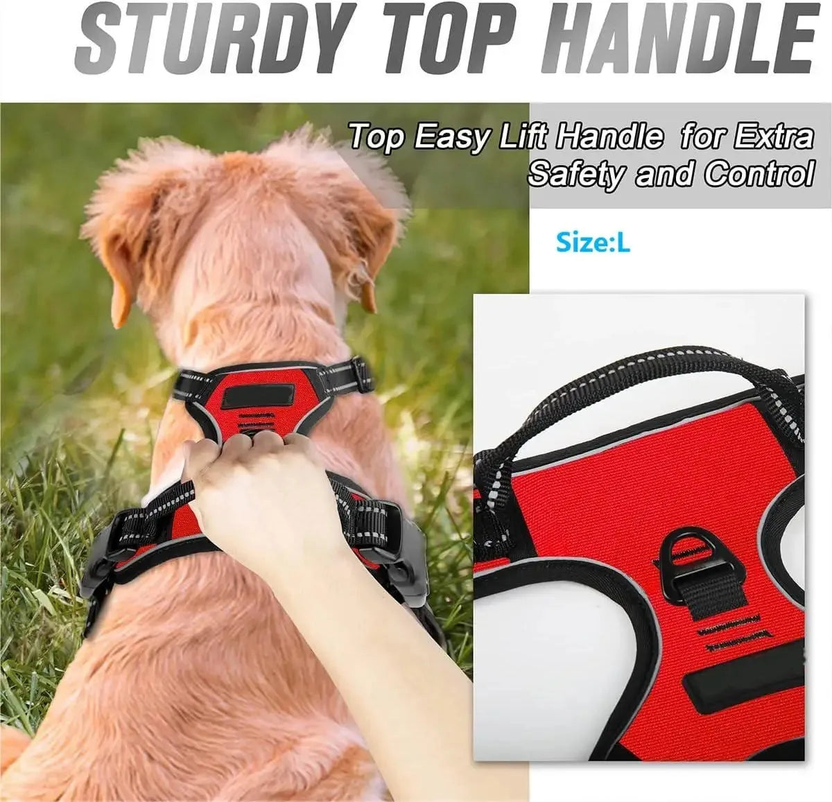 Dog Collars and harness l AXOIZ