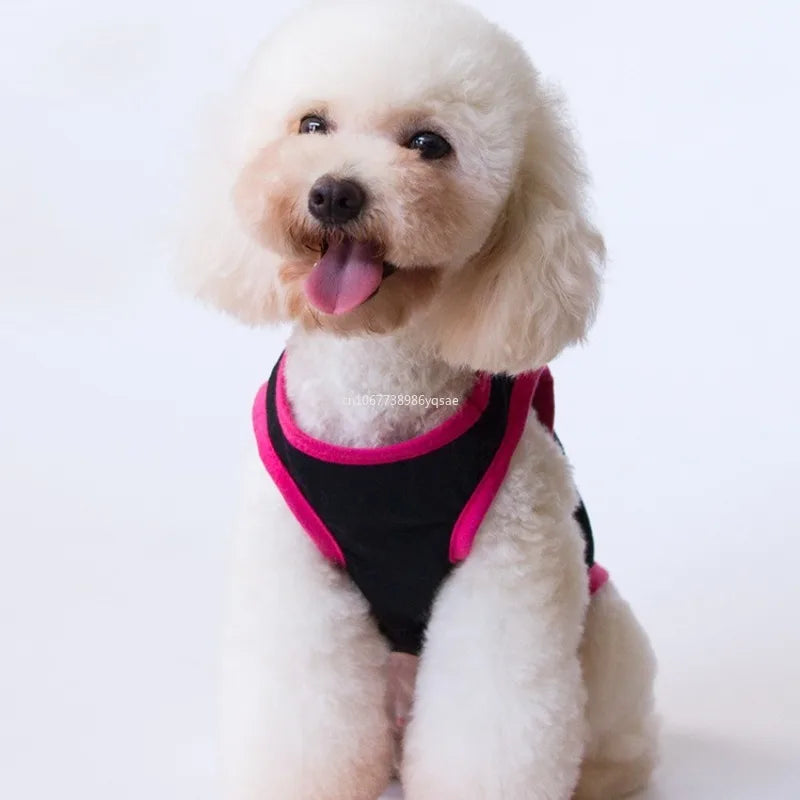 Gilets imprimés pour chiens élégants | AXOIZ