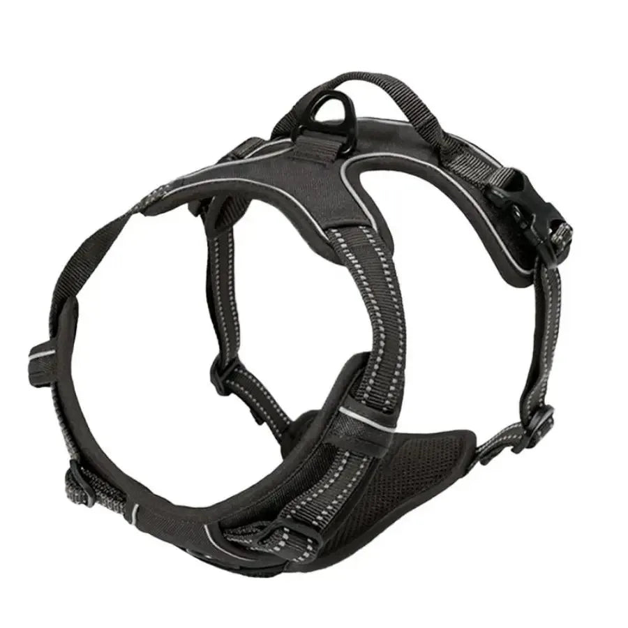 Dog Collars and harness l AXOIZ