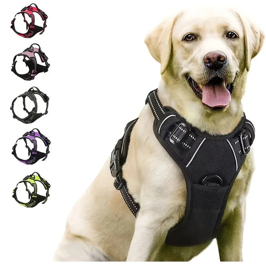 Dog Collars and harness l AXOIZ