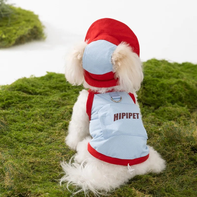 Cute Vests for Dogs | AXOIZ