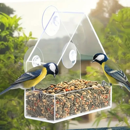 Transparent Bird Feeder | AXOIZ