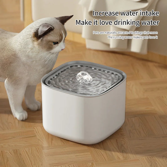 3L USB Water Fountain for Pets l AXIZIOZ