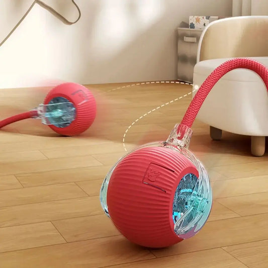 Robotic Ball for pets l AXOIZ