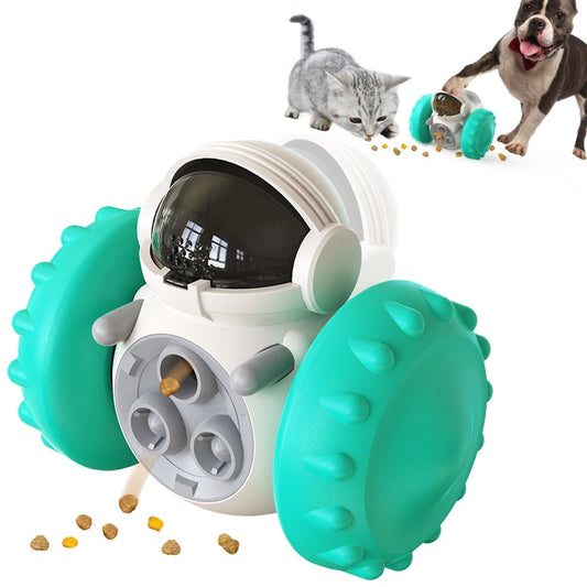Dog Feeder and Trainer l AXOIZ