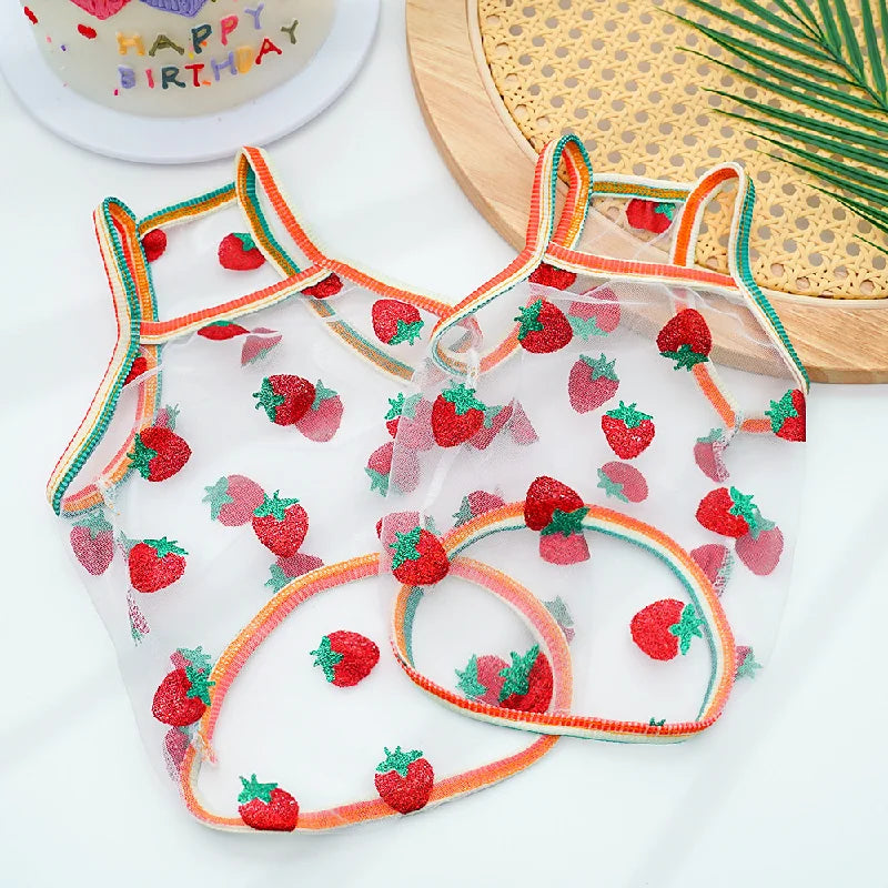 Princess Vest for Small dogs |AXOIZ