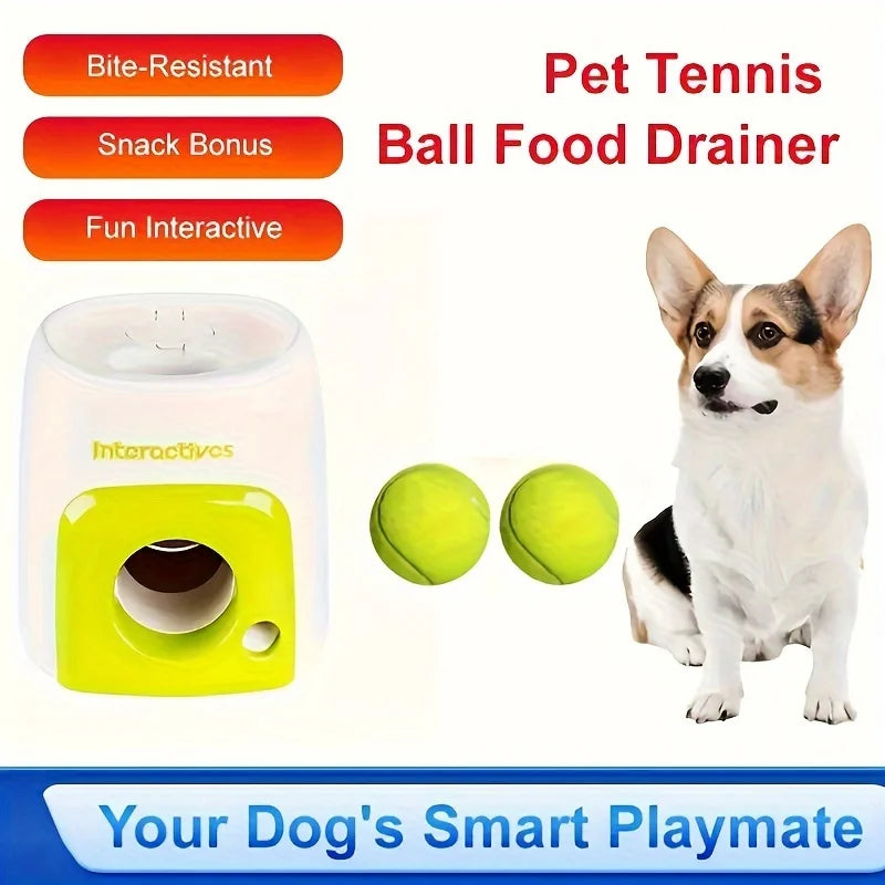 Ball Thrower Toy for Pets with 2 balls l AXOIZ