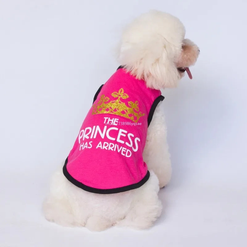 Gilets imprimés pour chiens élégants | AXOIZ