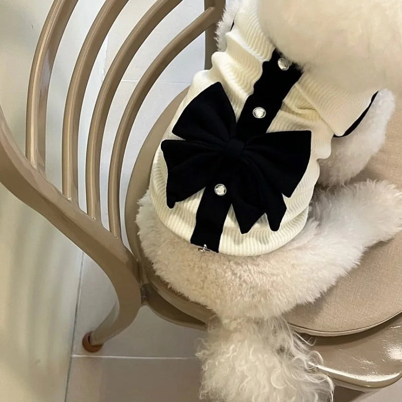 Luxury Dog Dress for Small Dogs | AXOIZ