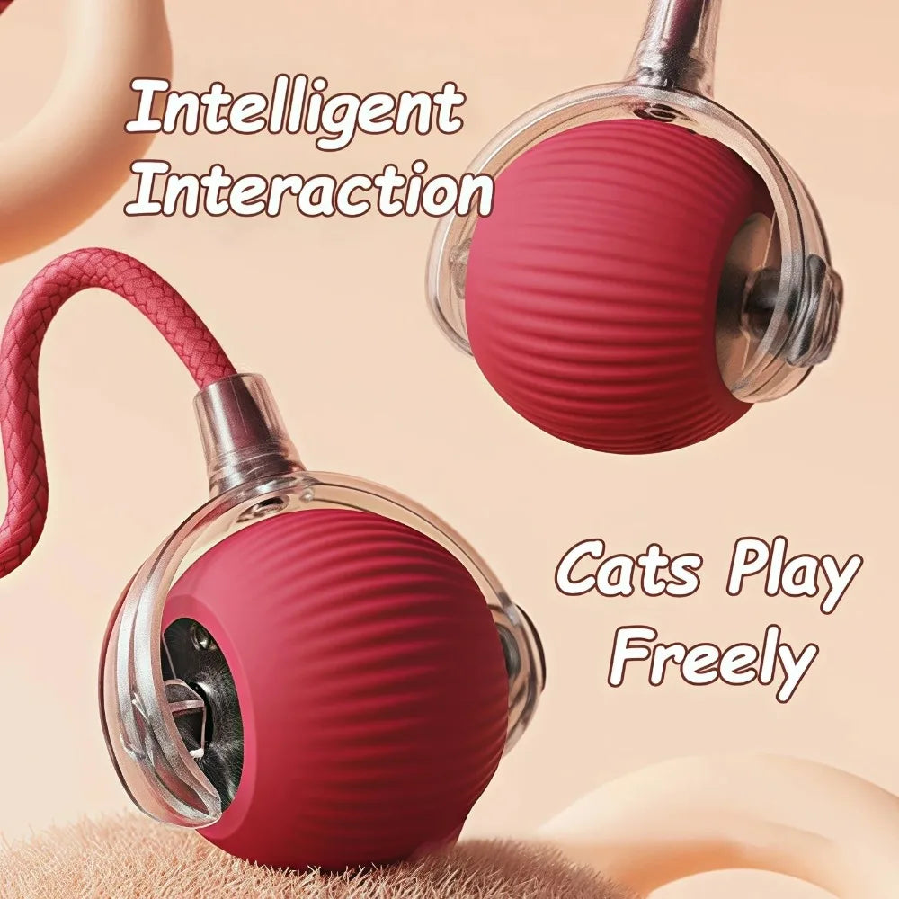 Robotic Ball for pets l AXOIZ